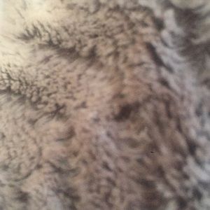 Meet your Posher, Nora